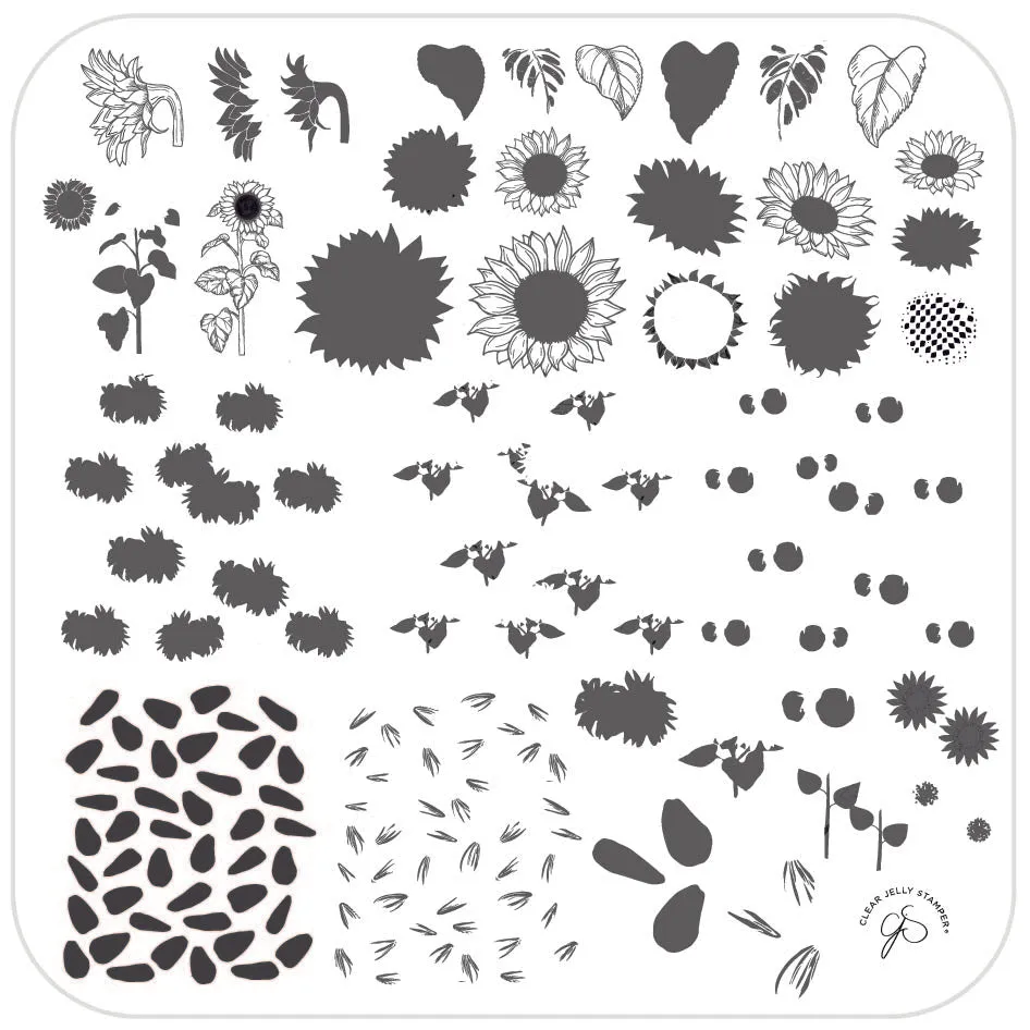 Clear Jelly Stamper CjS-163 Sunflowers stamping plade 8x8 cm