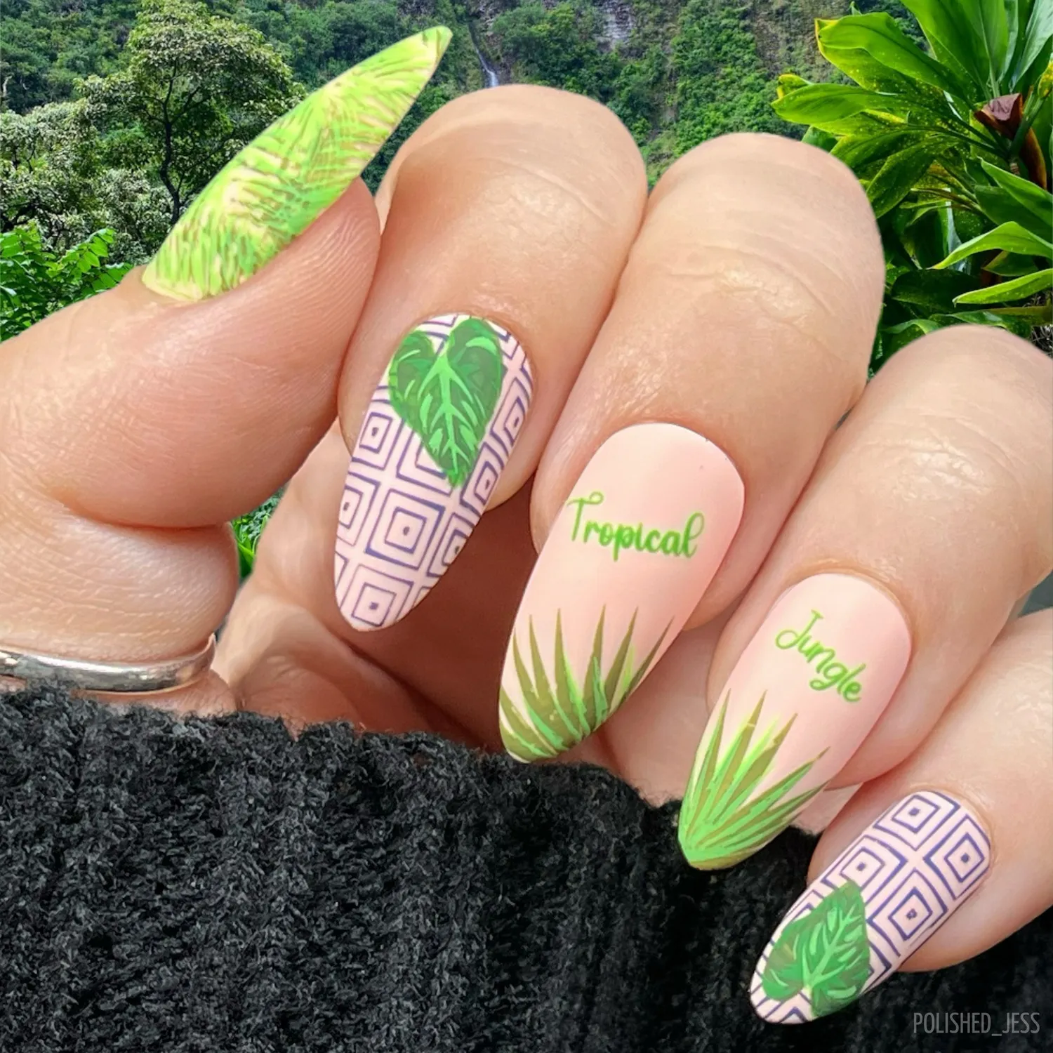 Clear Jelly Stamper CjS-358 Tropical Leaves stamping plade