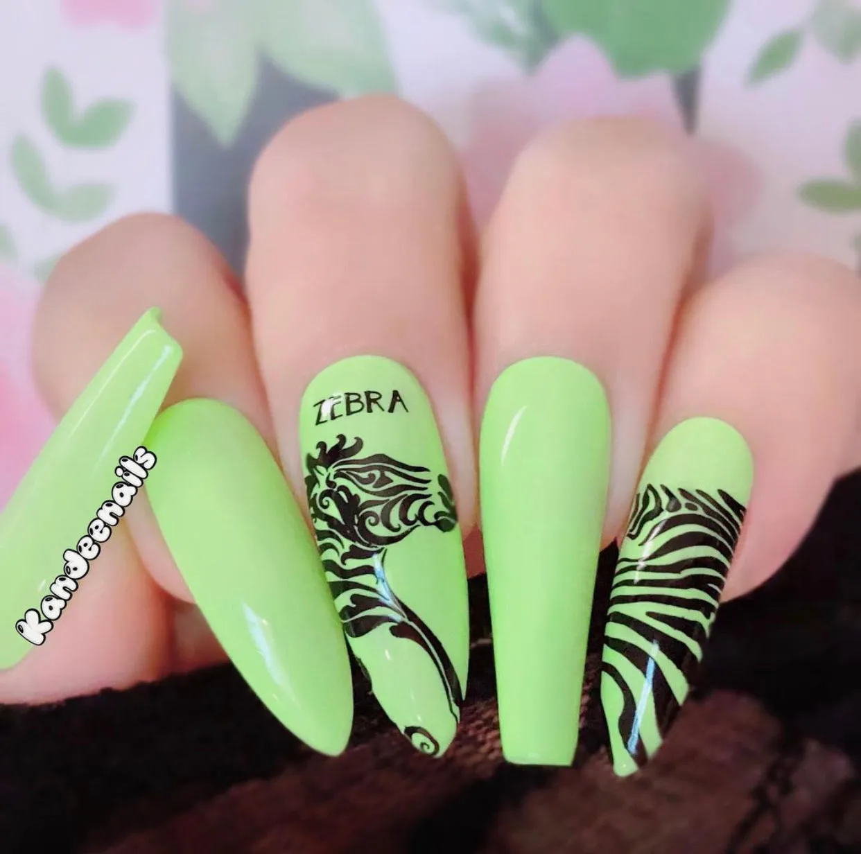 Clear Jelly Stamper Wild Zebra CjS-175 stampingplade dyr