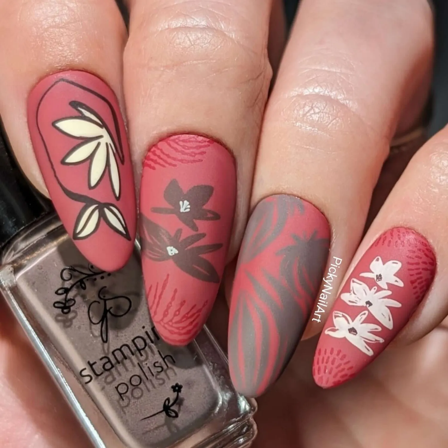 Clear Jelly Stamper Modern Muse CJS-329 stamping plade