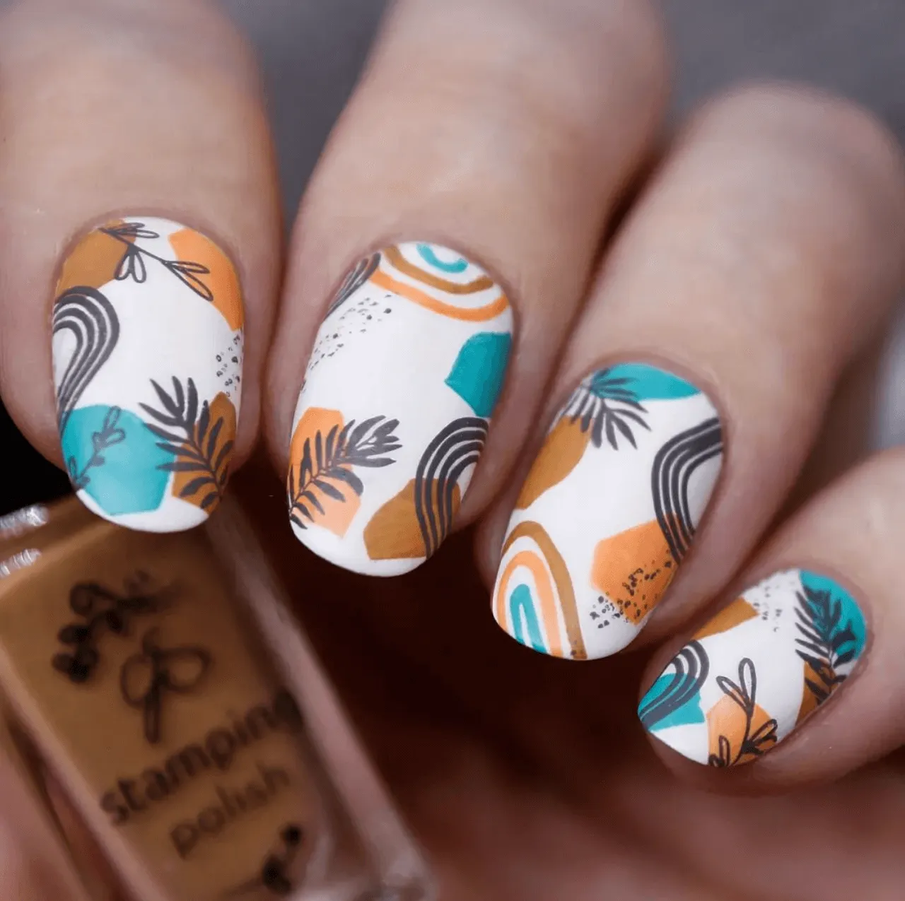 Clear Jelly Stamper CjS-229 Desert Boho stamping plade boho