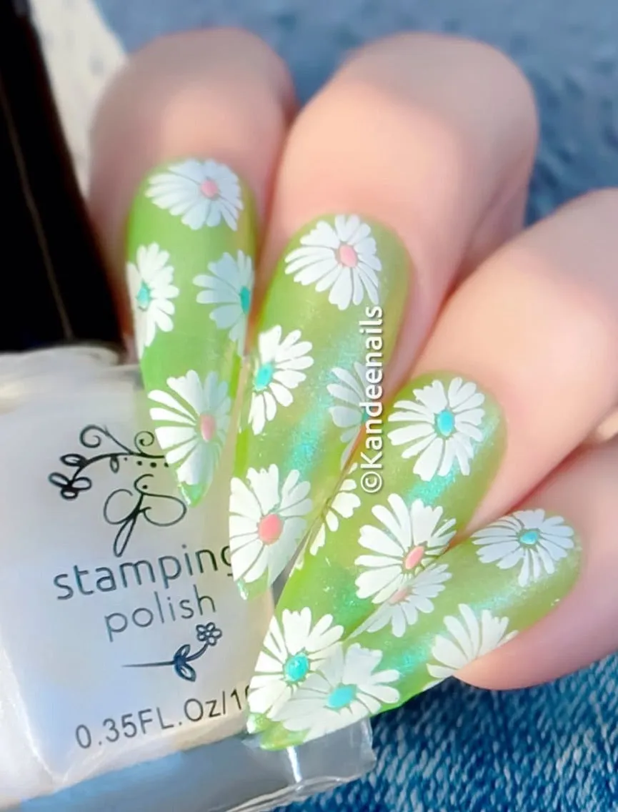 Clear Jelly Stamper CjS-385 Crazy for Daisies plade 14x9 marguerit