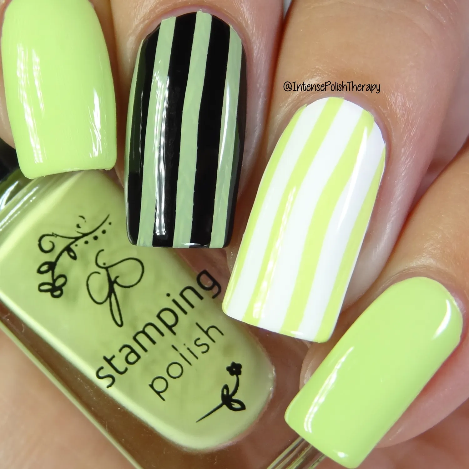 Clear Jelly Stamper 64 New Bud stamping lak grøn 5ml