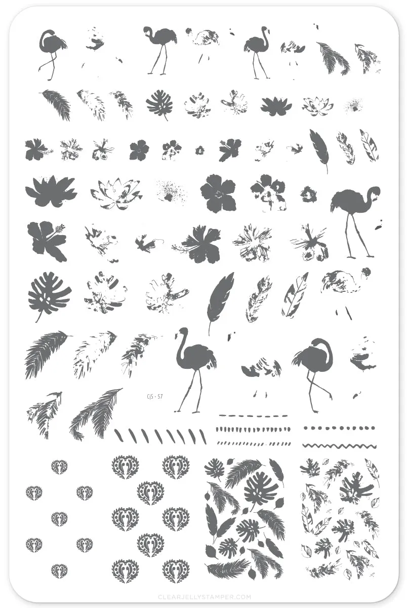 Clear Jelly Stamper Fabulous Flamingo CjS-57 stamping plade