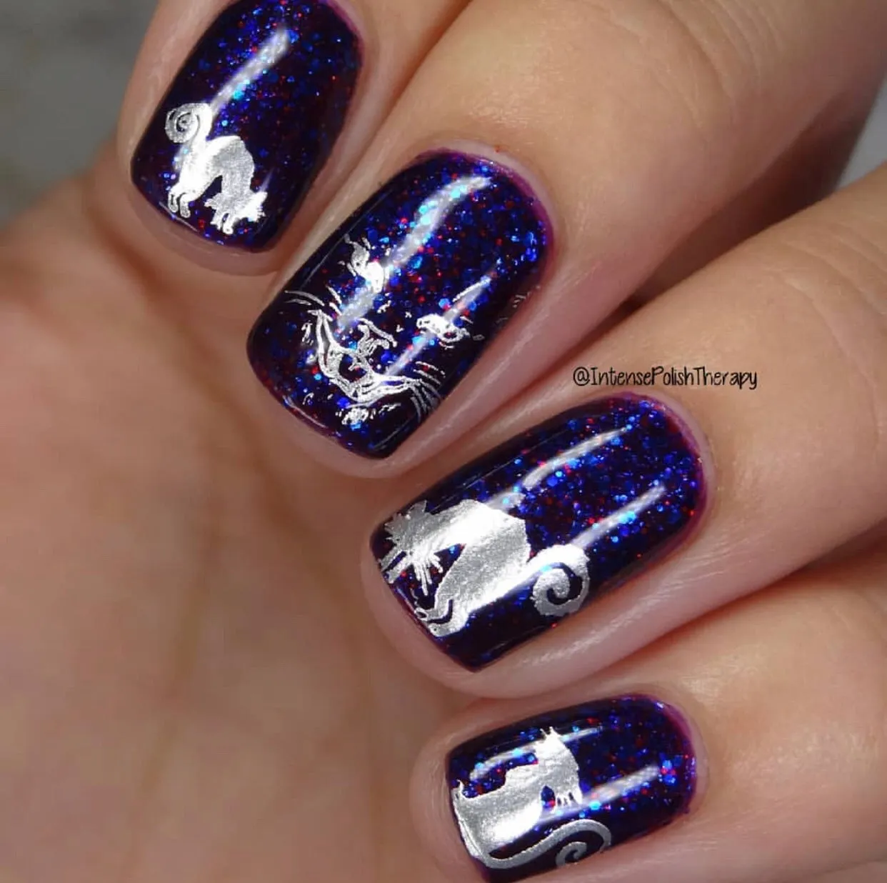 Clear Jelly Stamper Be-Witched CjSH-36 stamping plade halloween