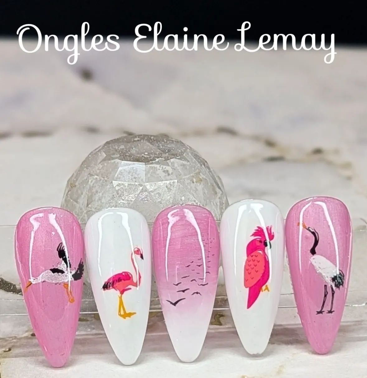 Clear Jelly Stamper Talk Birdy To Me CjSLC-103 stampingplade