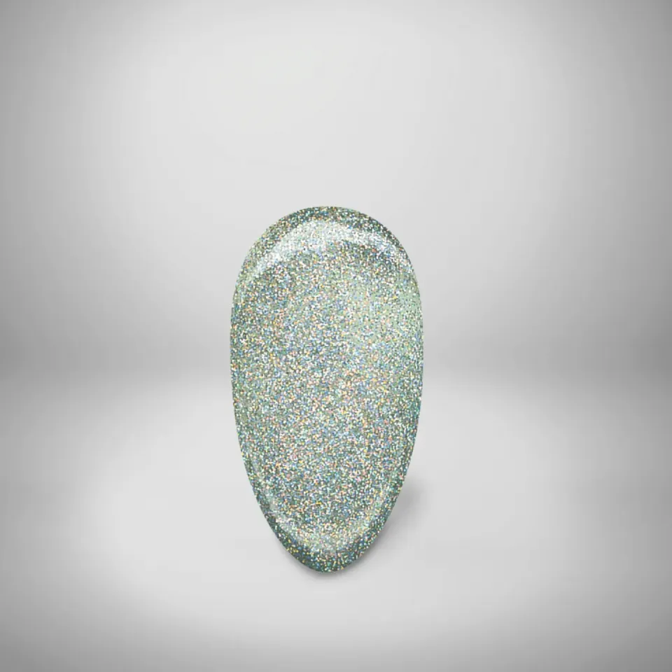 Nail Supply Glam Hologram GL-041 gel 5g hologram