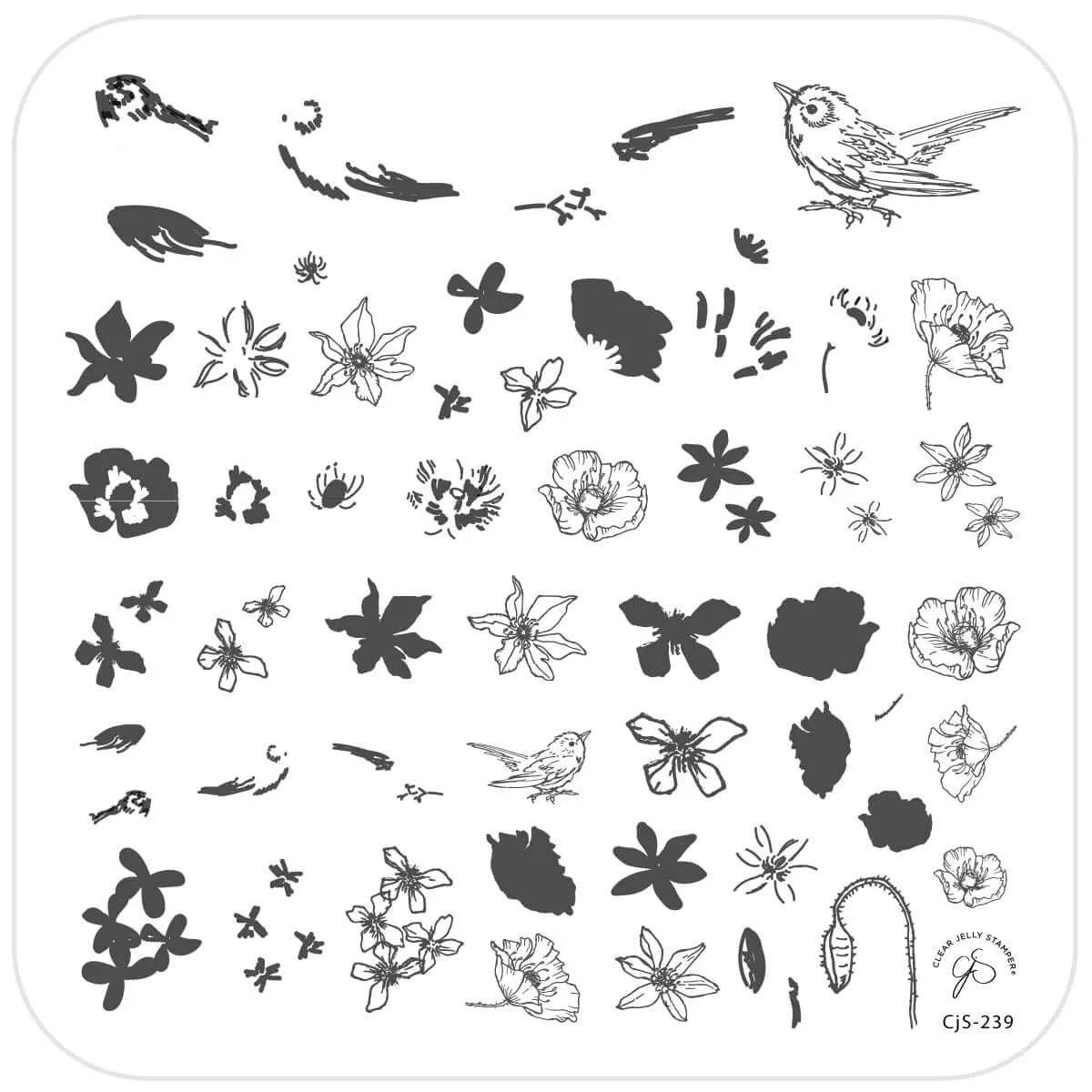 Clear Jelly Stamper CjS-239 Sweet Tweet stampingplade kolibri