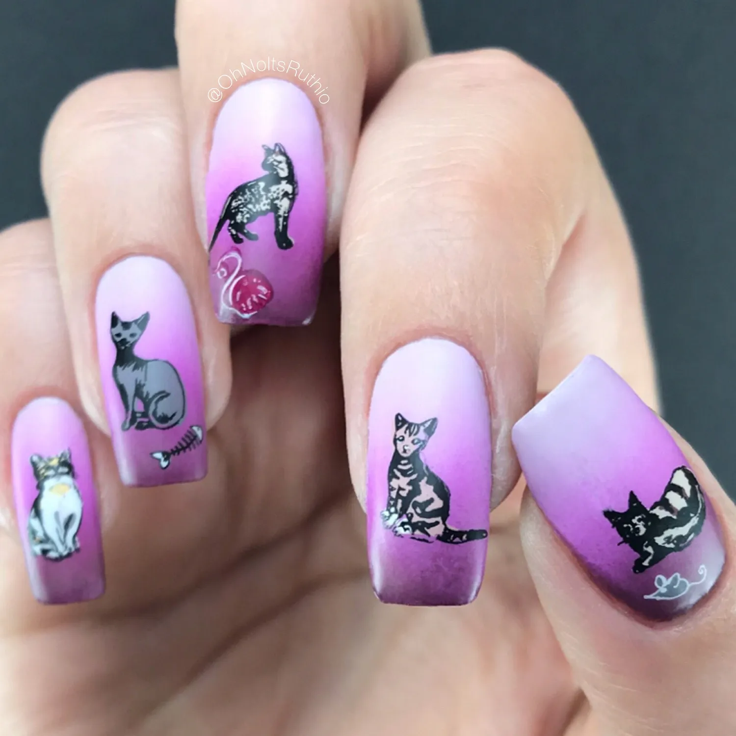 Clear Jelly Stamper LC-75 Purrr-fect stempelplade stor kat
