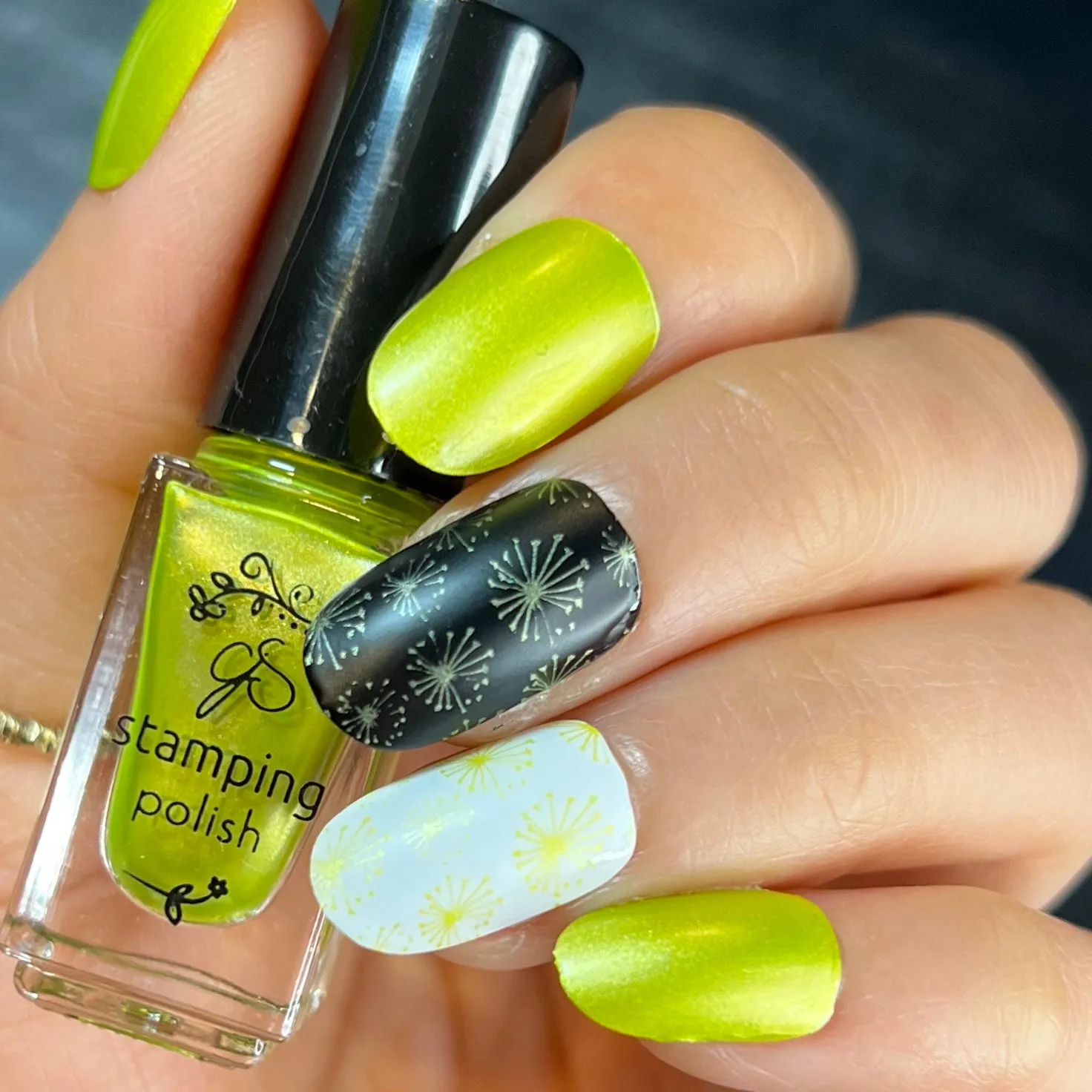 Clear Jelly Stamper 44 Sassy Monster stampinglak limegrøn 5 ml