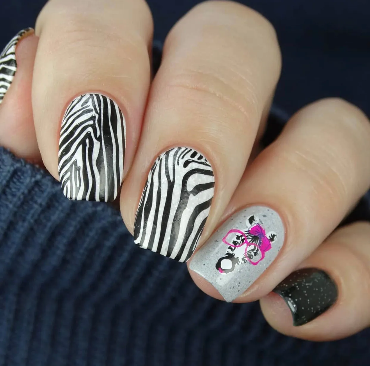 Clear Jelly Stamper Wild Zebra CjS-175 stampingplade dyr