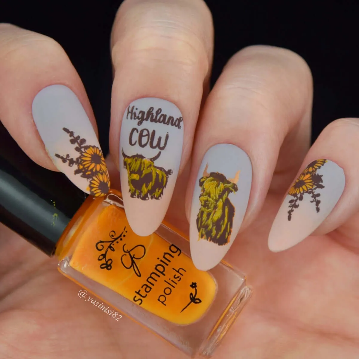 Clear Jelly Stamper CjS-362 Highland Cow stamping plade ko