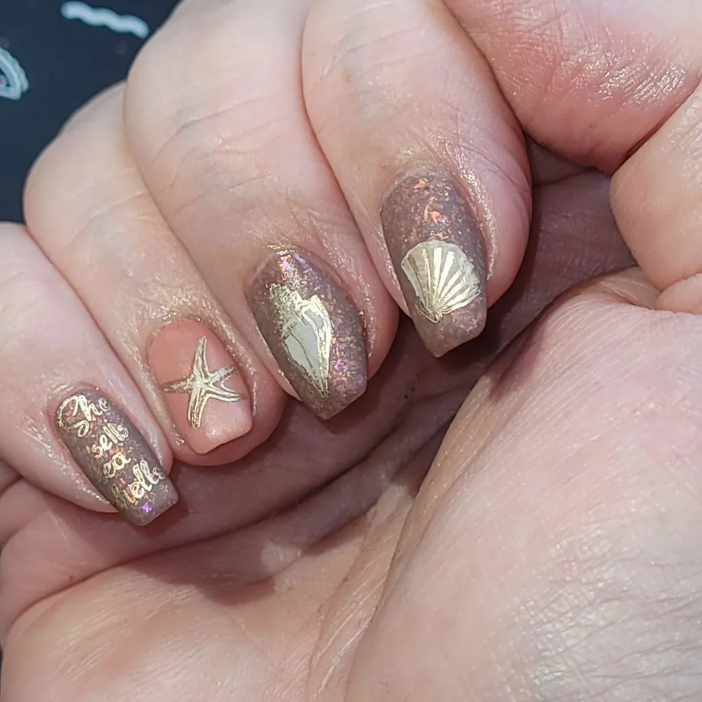 Clear Jelly Stamper CjS-368 stampingplade She Sells Seashells