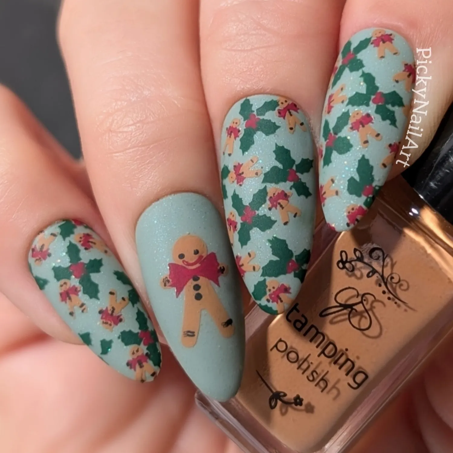 Clear Jelly Stamper CjSC-88 Holly Vibes stampingplade jul 14,5cm