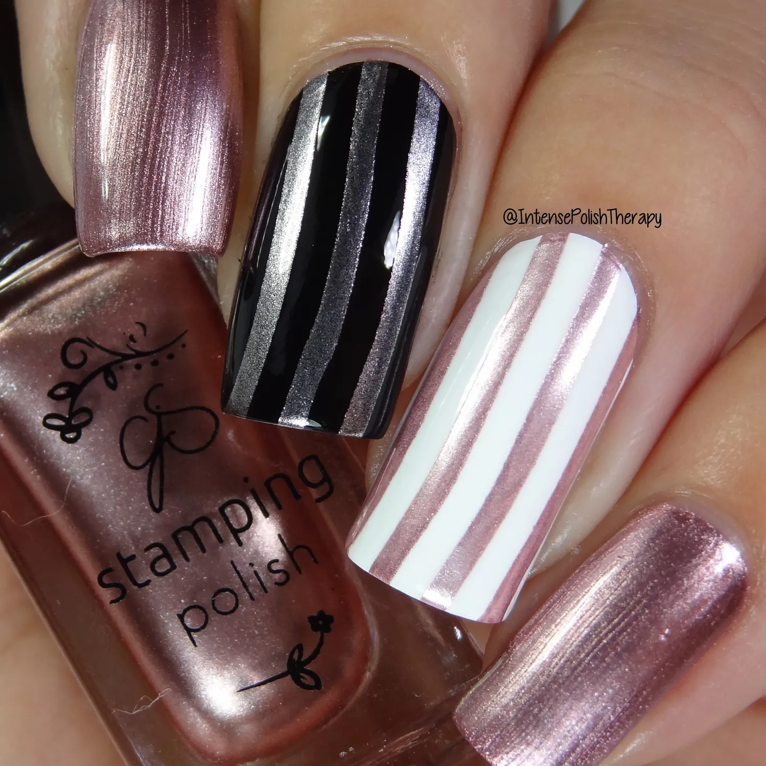Clear Jelly Stamper 41 Sweet Baby Rose stamping lak rosa 5 ml