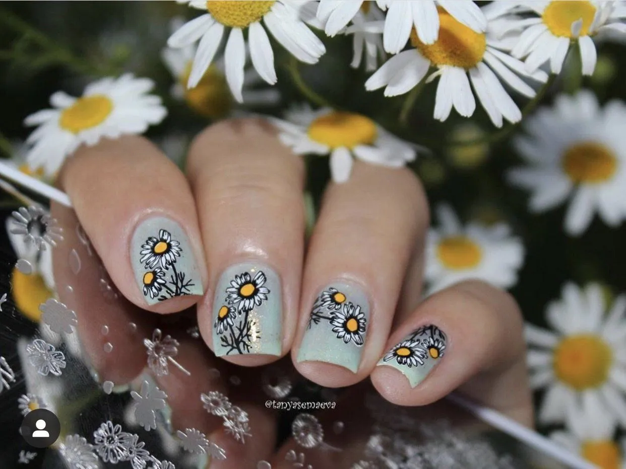 Clear Jelly Stamper CjS-104 I Dream of Daisies negleplade blomster stor