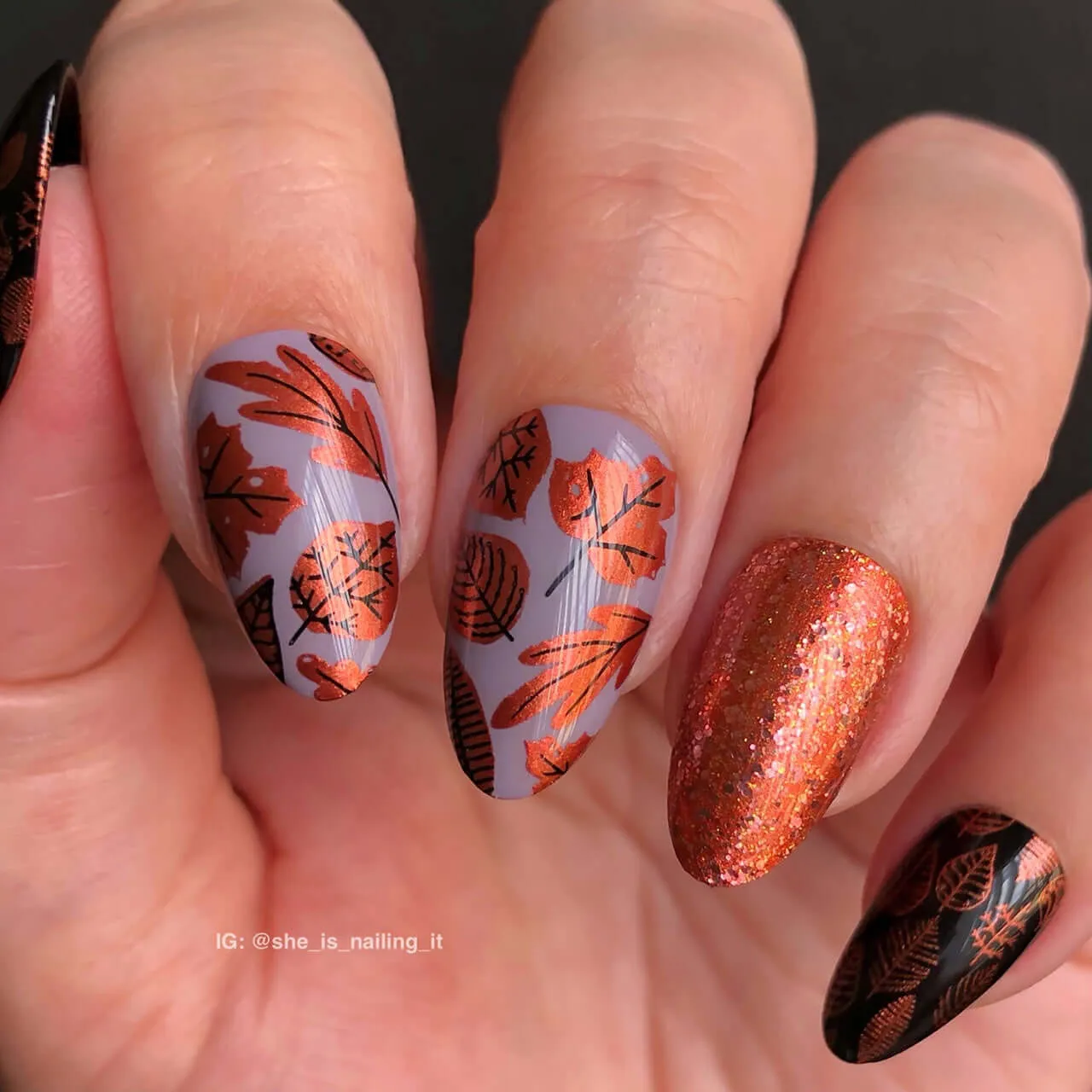 Clear Jelly Stamper Playfully Autumn CjS-322 stempelplade efterår