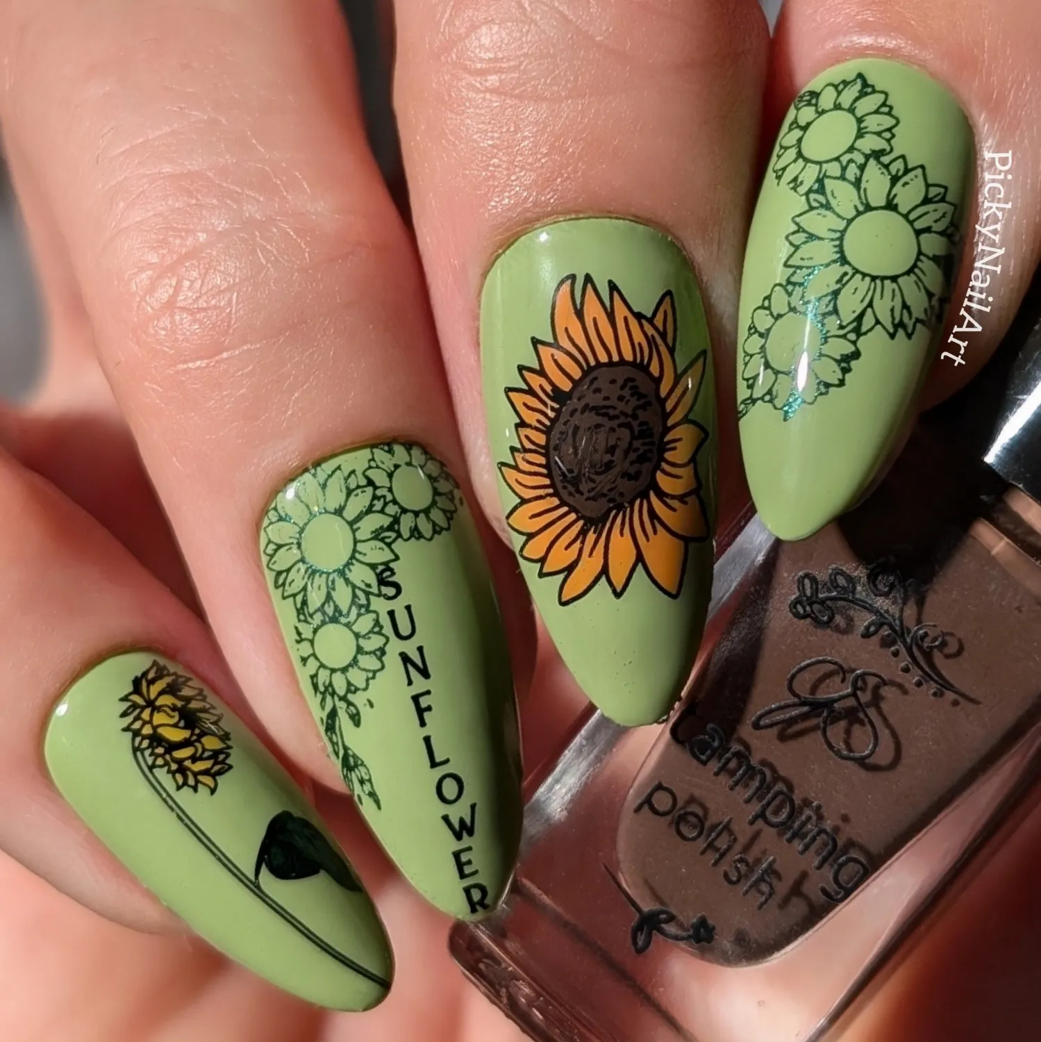 Clear Jelly Stamper CjS-370 Sunflower stampingplade blomst