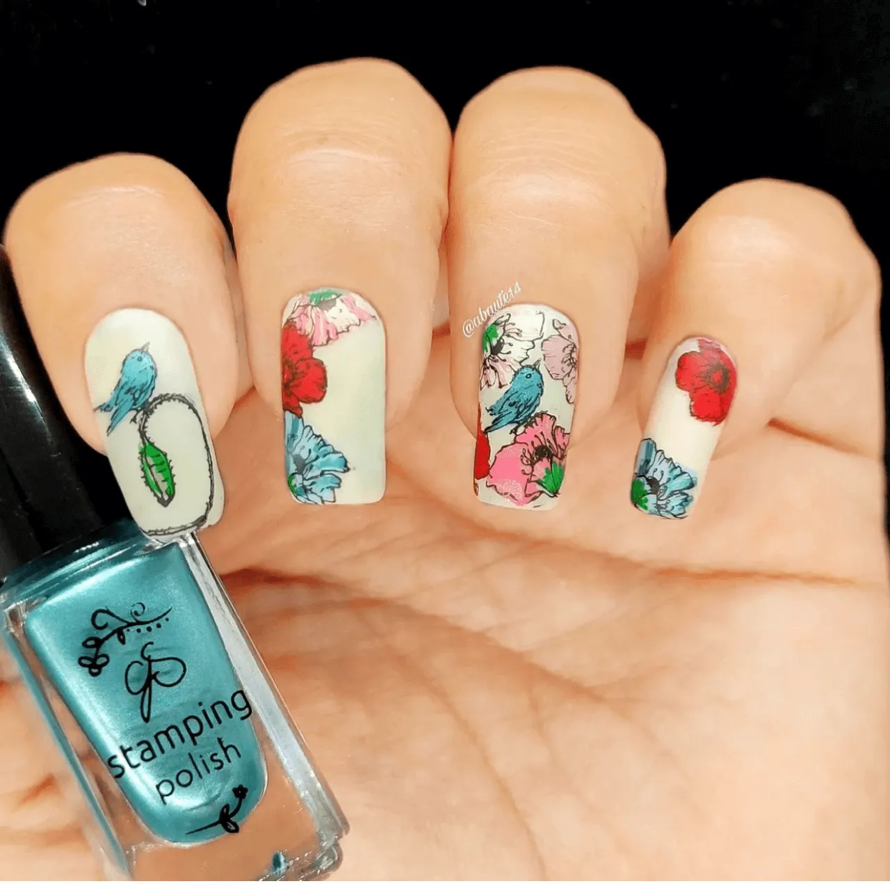 Clear Jelly Stamper CjS-239 Sweet Tweet stampingplade kolibri