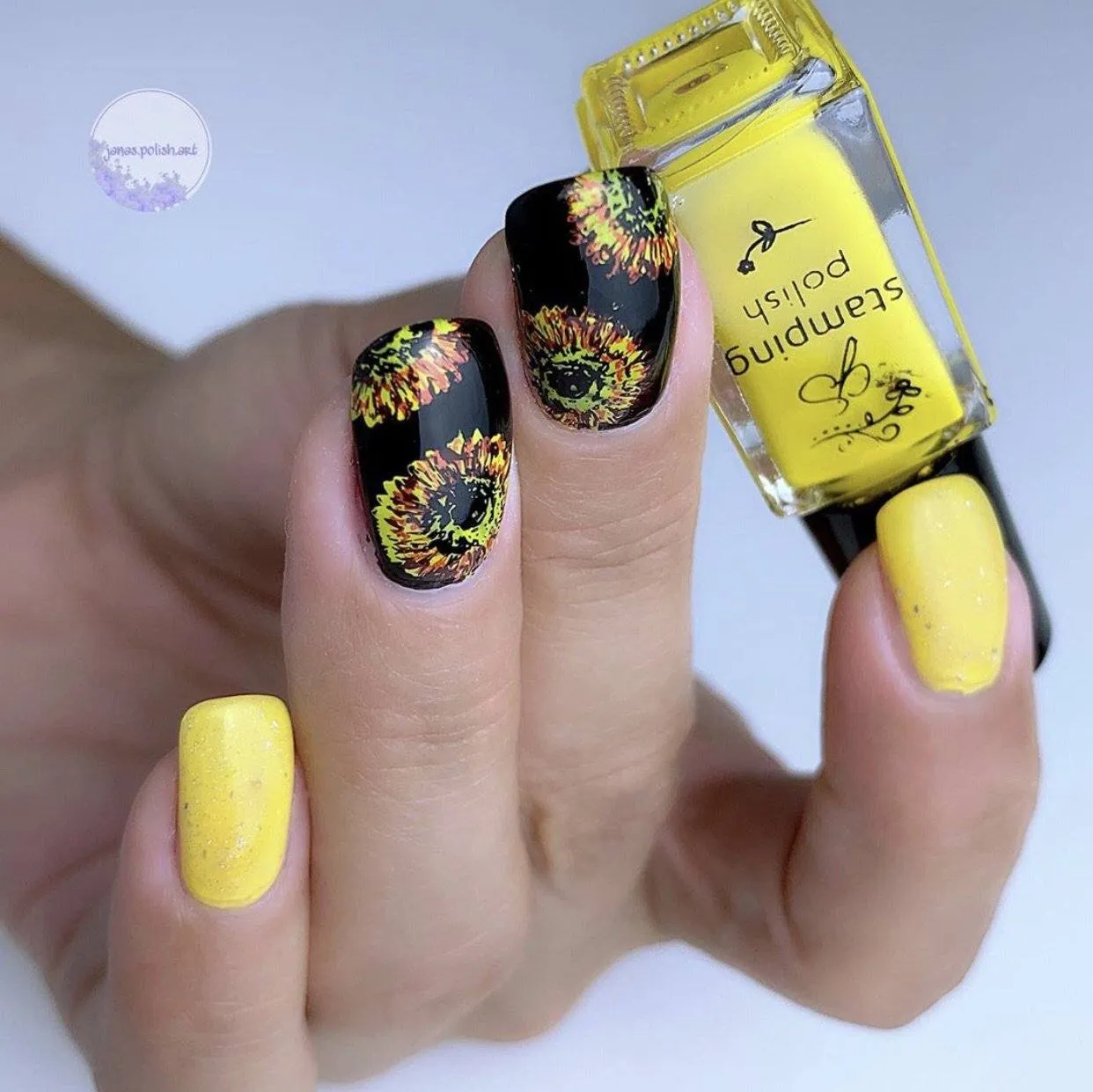 Clear Jelly Stamper CjS-26 Sunflower stampingplade 6x6 blomst