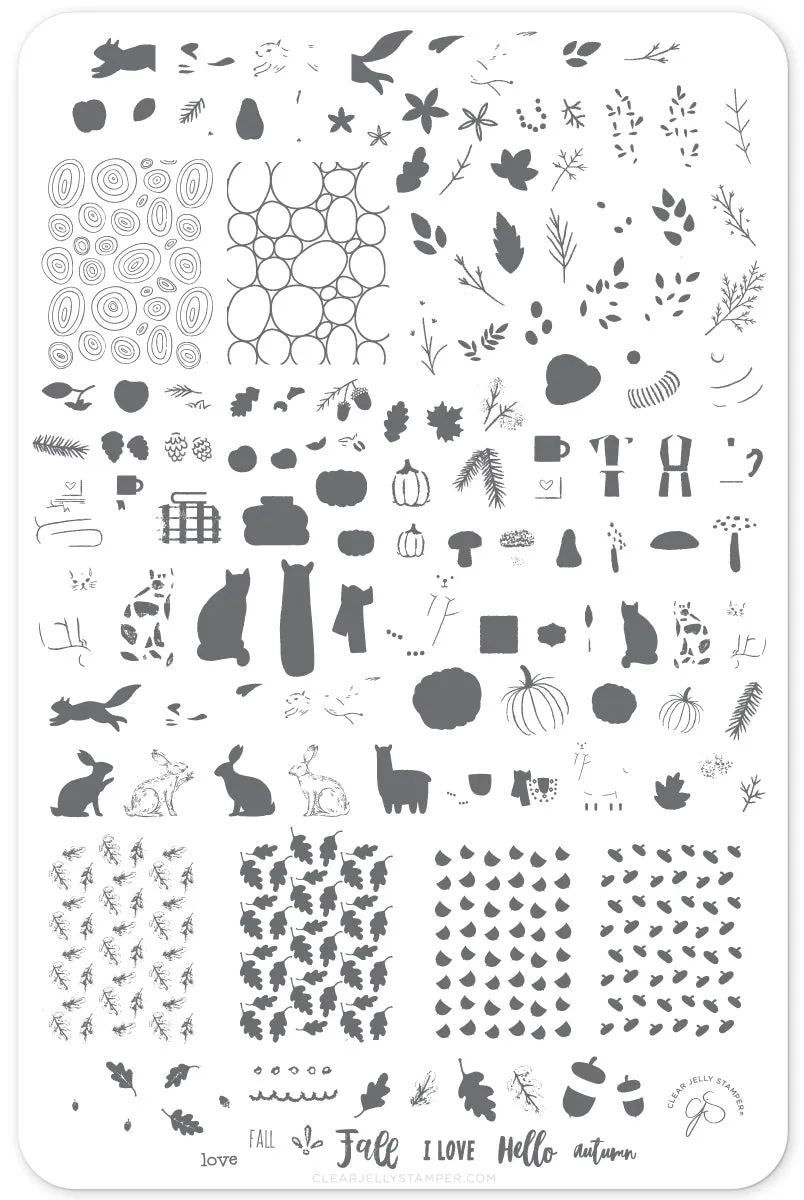 Clear Jelly Stamper CjS-148 Autumn Acorns stampingplade