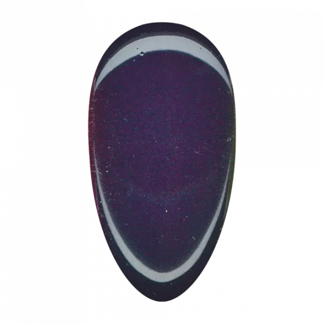 Nail Supply Color Aubergine FC-011 farvegel 5g mørk