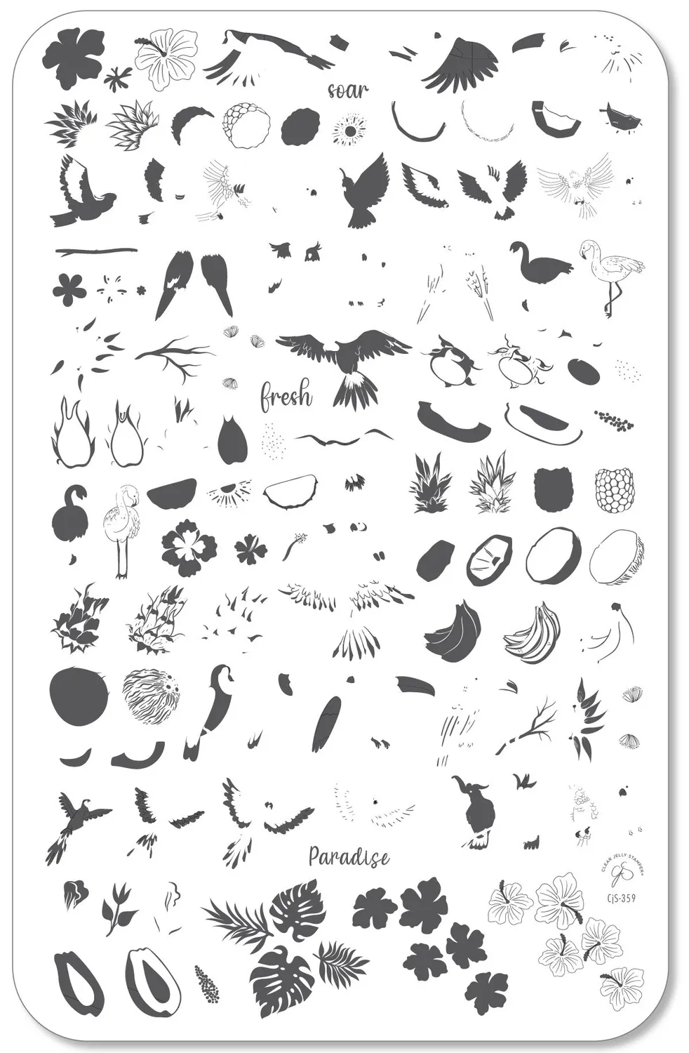 Clear Jelly Stamper CjS-359 Tropical Paradise stamping plade tropisk
