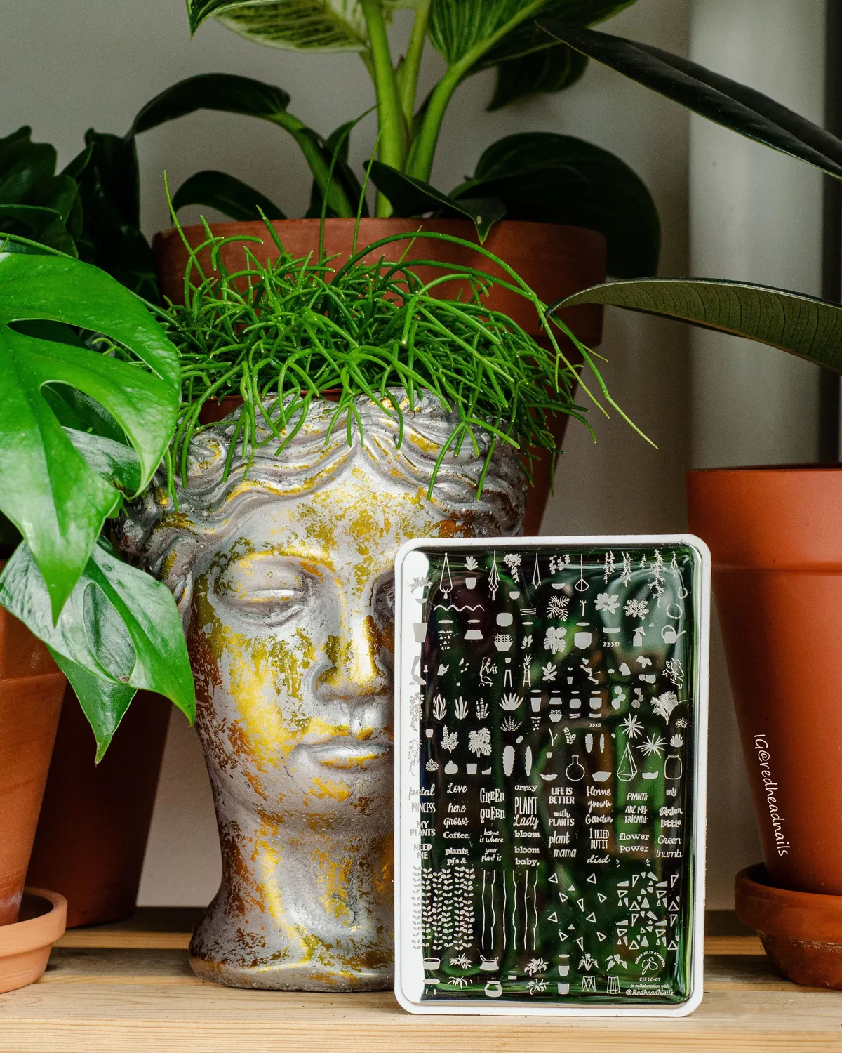Clear Jelly Stamper Crazy Plant Lady CjSLC-07 plade