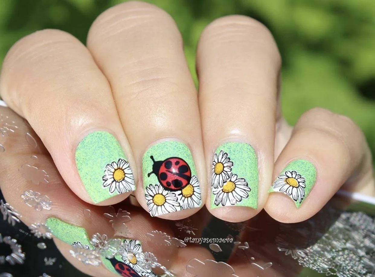Clear Jelly Stamper CjS-104 I Dream of Daisies negleplade blomster stor