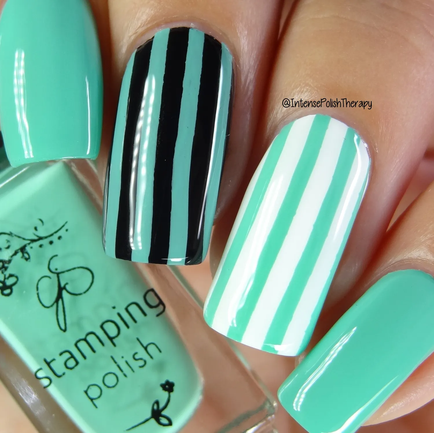 Clear Jelly Stamper 72 Palm Frond stamping lak 5 ml teal