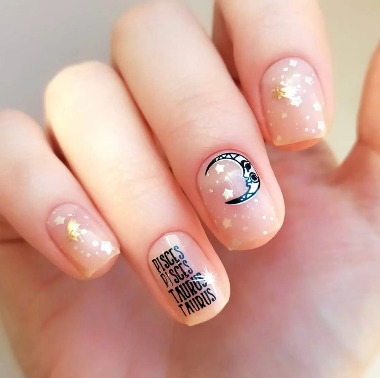 Clear Jelly Stamper CjSZ-01 Stjernetegn stamping plade zodiac
