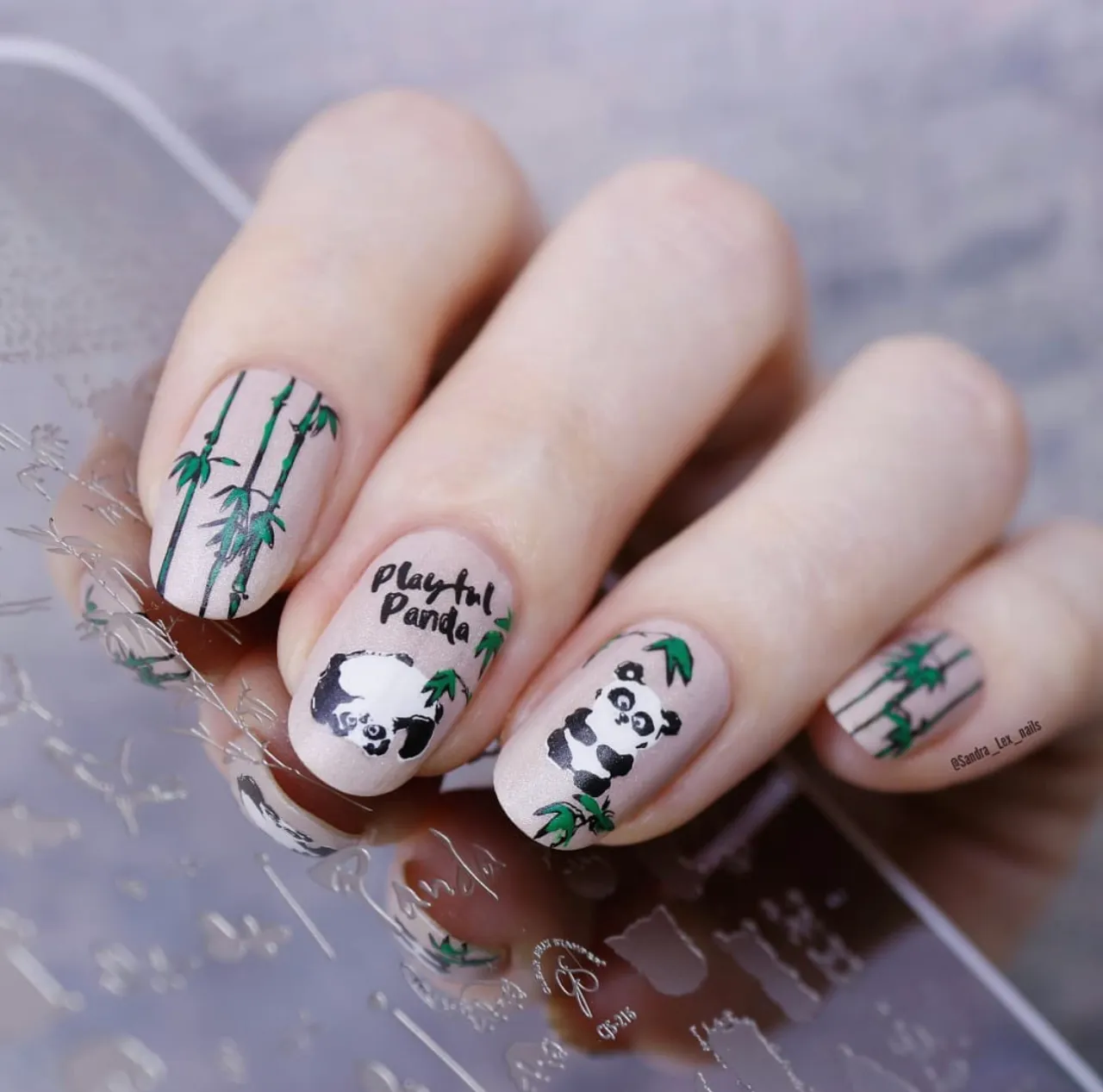 Clear Jelly Stamper Playful Panda CjS-216 stempelplade panda