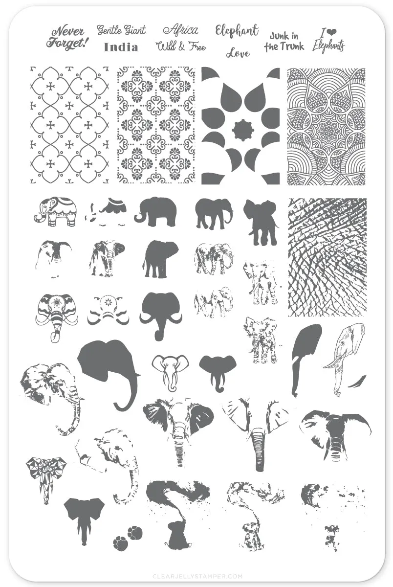 Clear Jelly Stamper LC-44 Everything Elephant stampingplade dyr