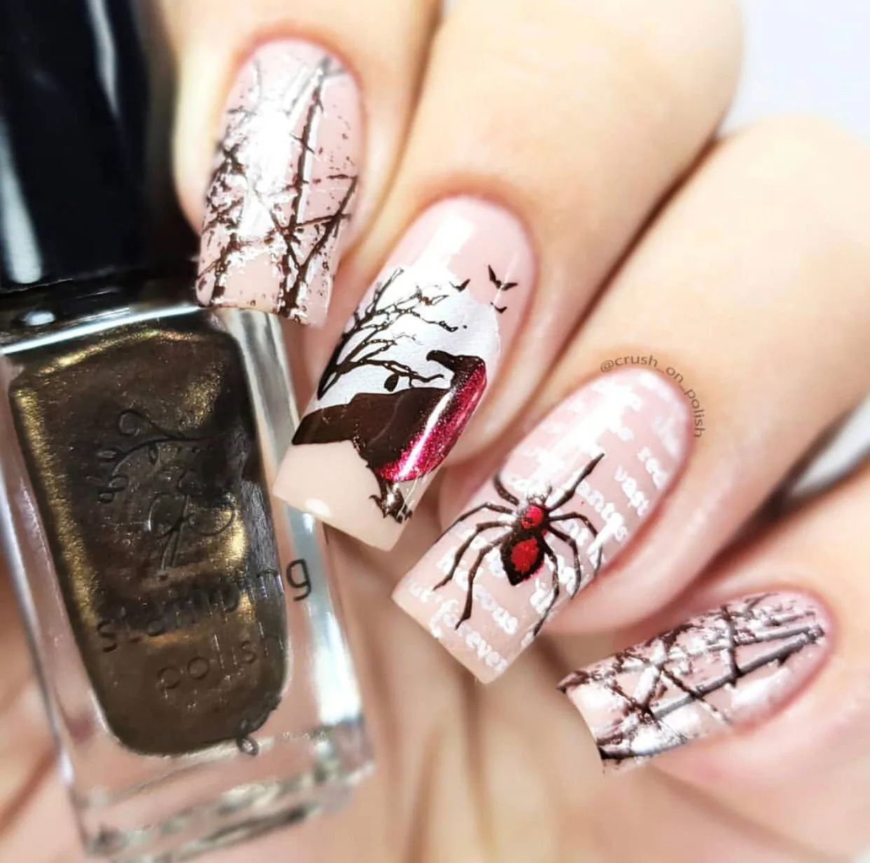 Clear Jelly Stamper H-22 Shivers stamping plade halloween