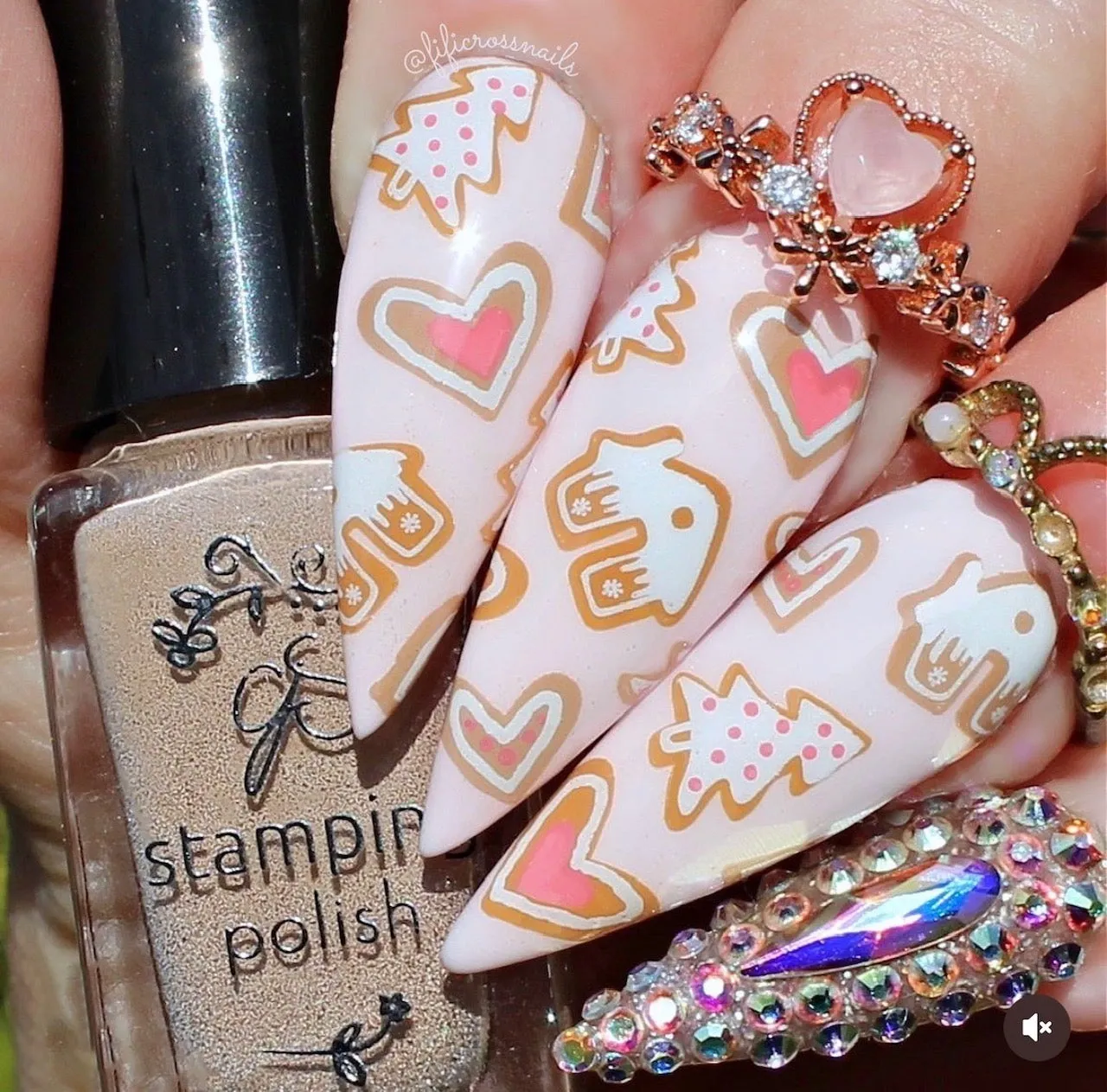 Clear Jelly Stamper Sassy Christmas CjSC-68 stamping plade jul