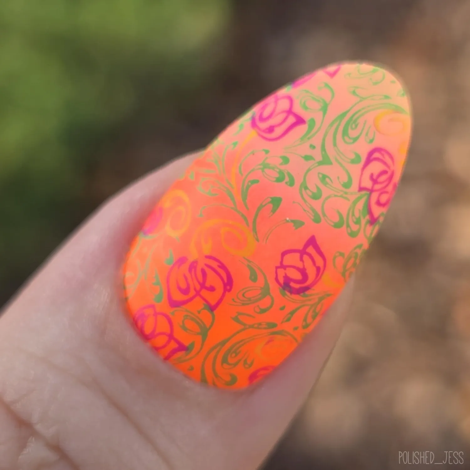 Clear Jelly Stamper CJS-248 stamping plade vine dandy