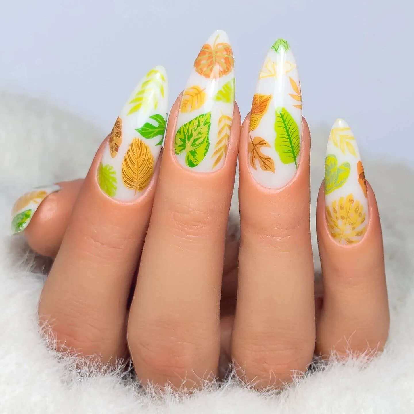 Clear Jelly Stamper CjS-358 Tropical Leaves stamping plade