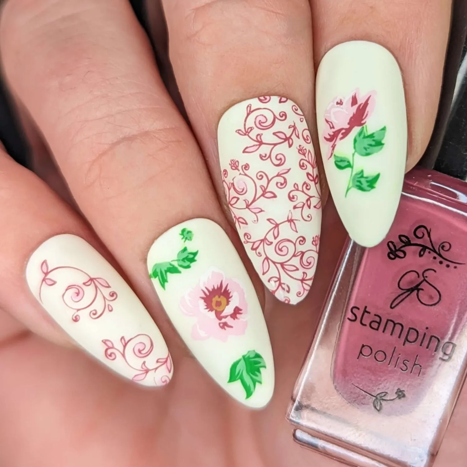Clear Jelly Stamper Summer Rose CjS-242 stempelplade roser