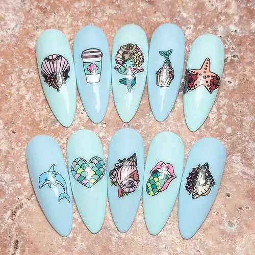 Clear Jelly Stamper BS-03 Shell Belle stamping plade hav