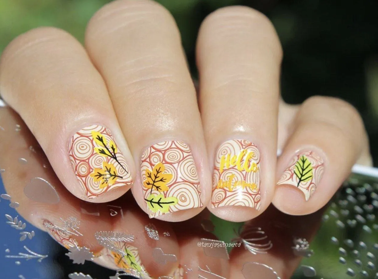 Clear Jelly Stamper CjS-148 Autumn Acorns stampingplade