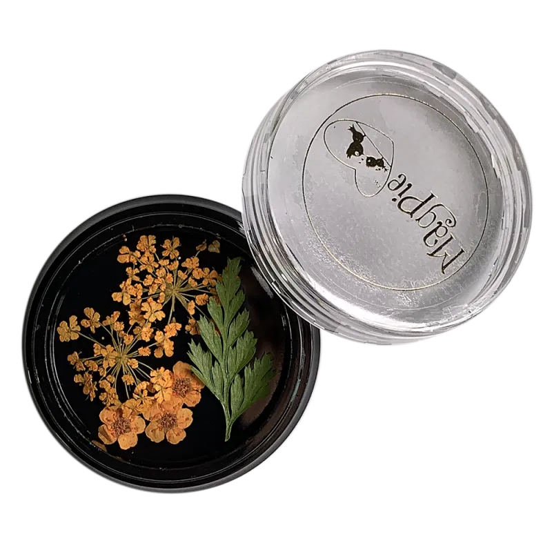 Beautystones Orange tørrede blomster til negle