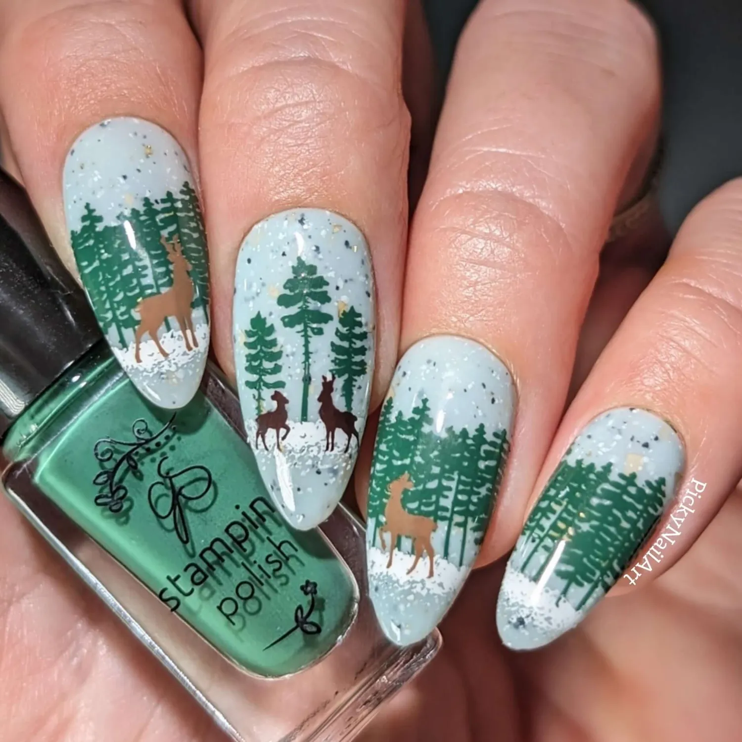 Clear Jelly Stamper CjSC-85 Debbie's Fav's stampingplade vinter