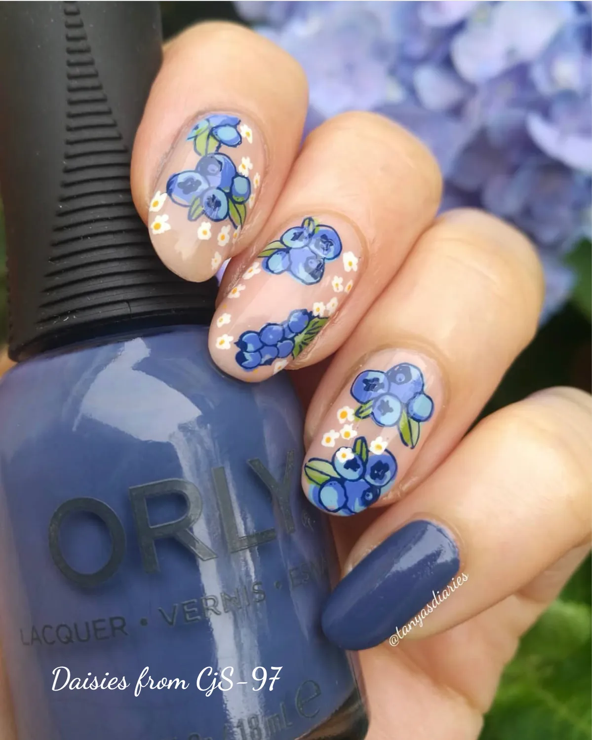 Clear Jelly Stamper CjS-211 Tropical Sensation stamping plade frugt