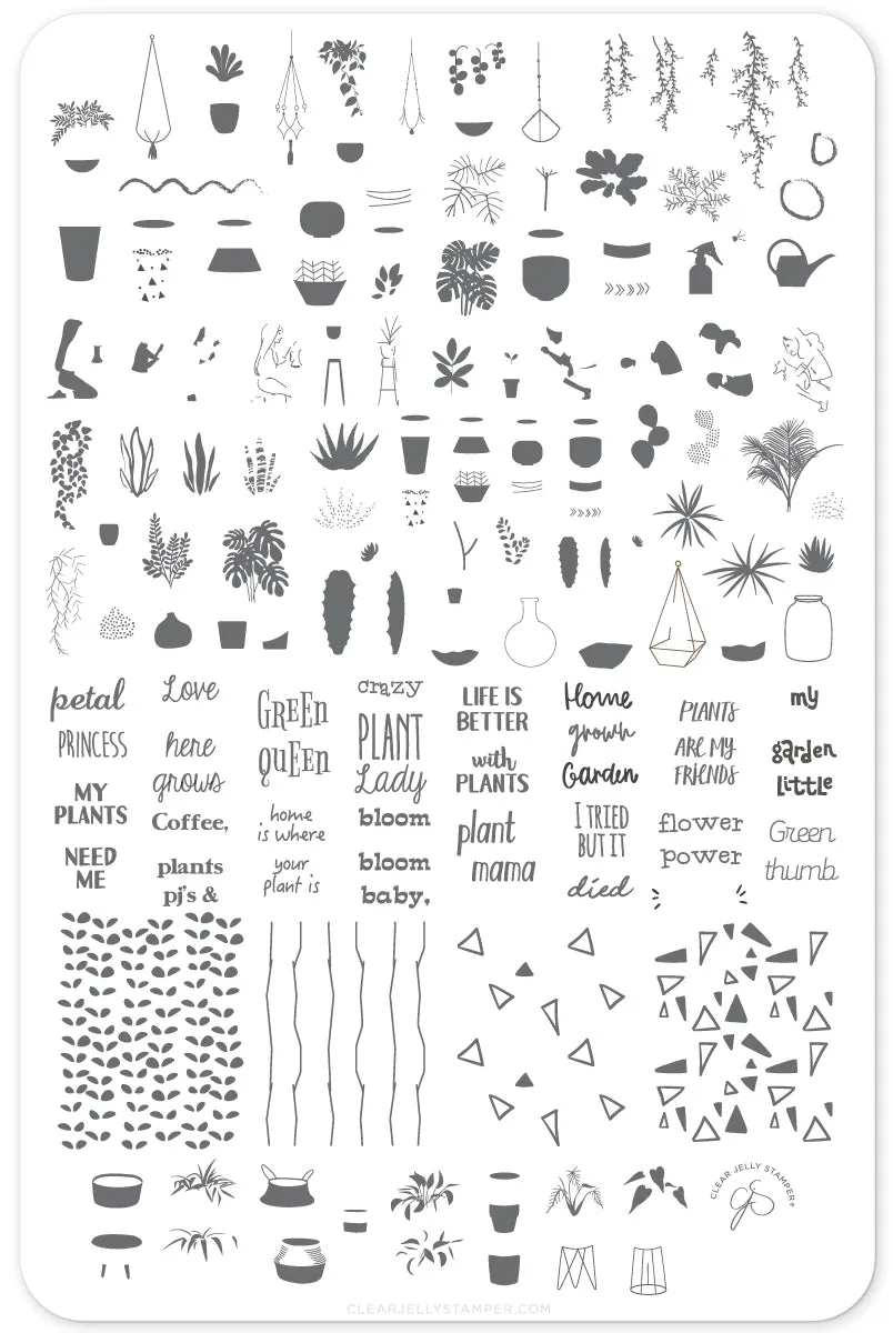 Clear Jelly Stamper Crazy Plant Lady CjSLC-07 plade