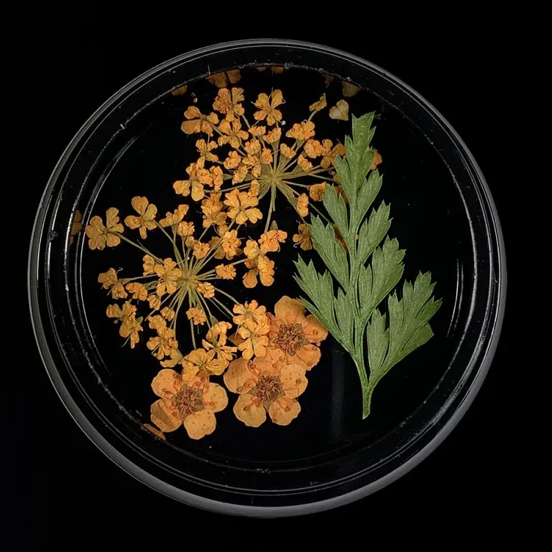 Beautystones Orange tørrede blomster til negle