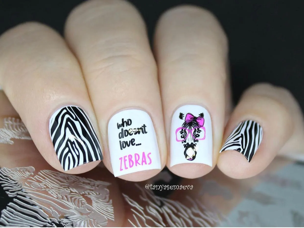 Clear Jelly Stamper Wild Zebra CjS-175 stampingplade dyr
