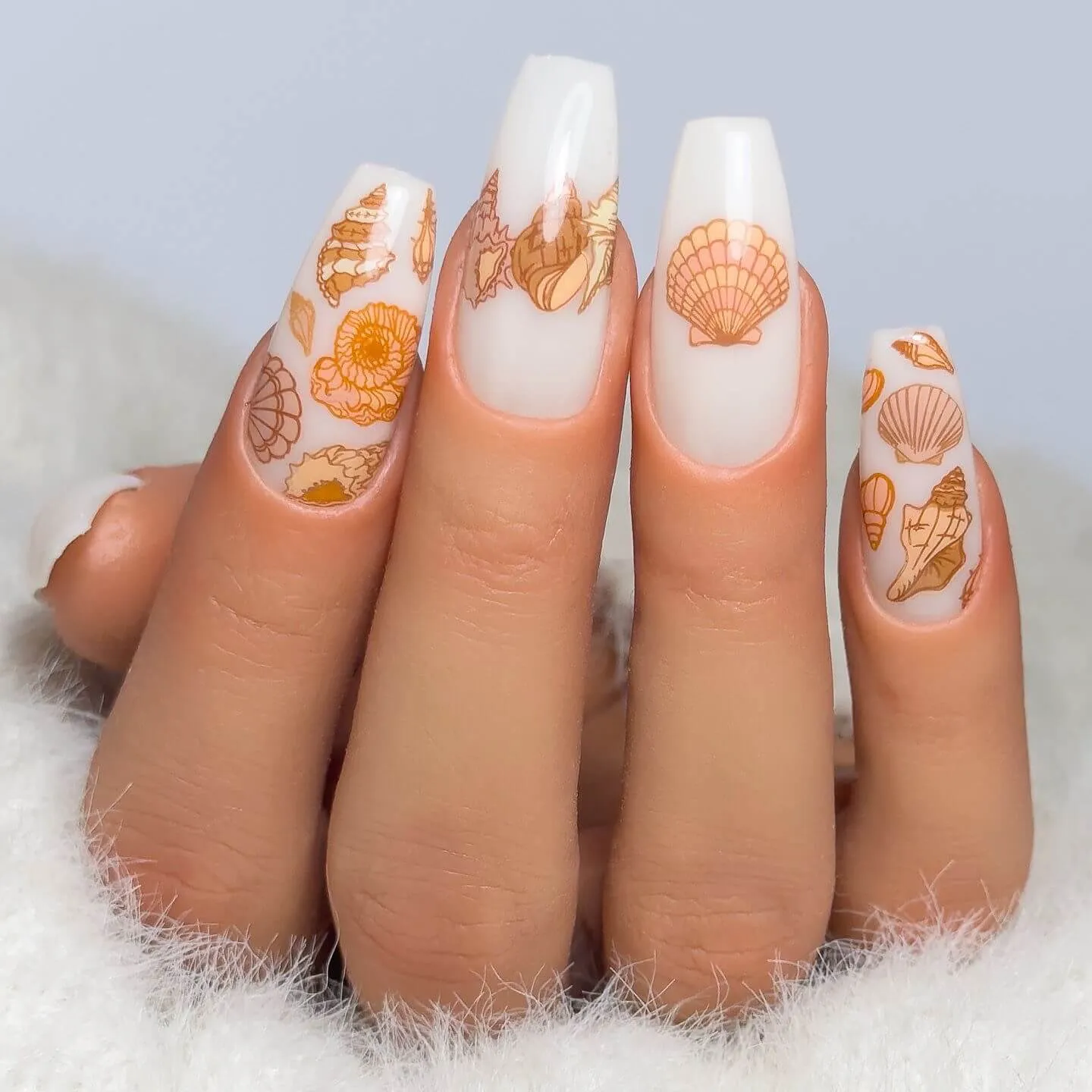 Clear Jelly Stamper CjS-368 stampingplade She Sells Seashells