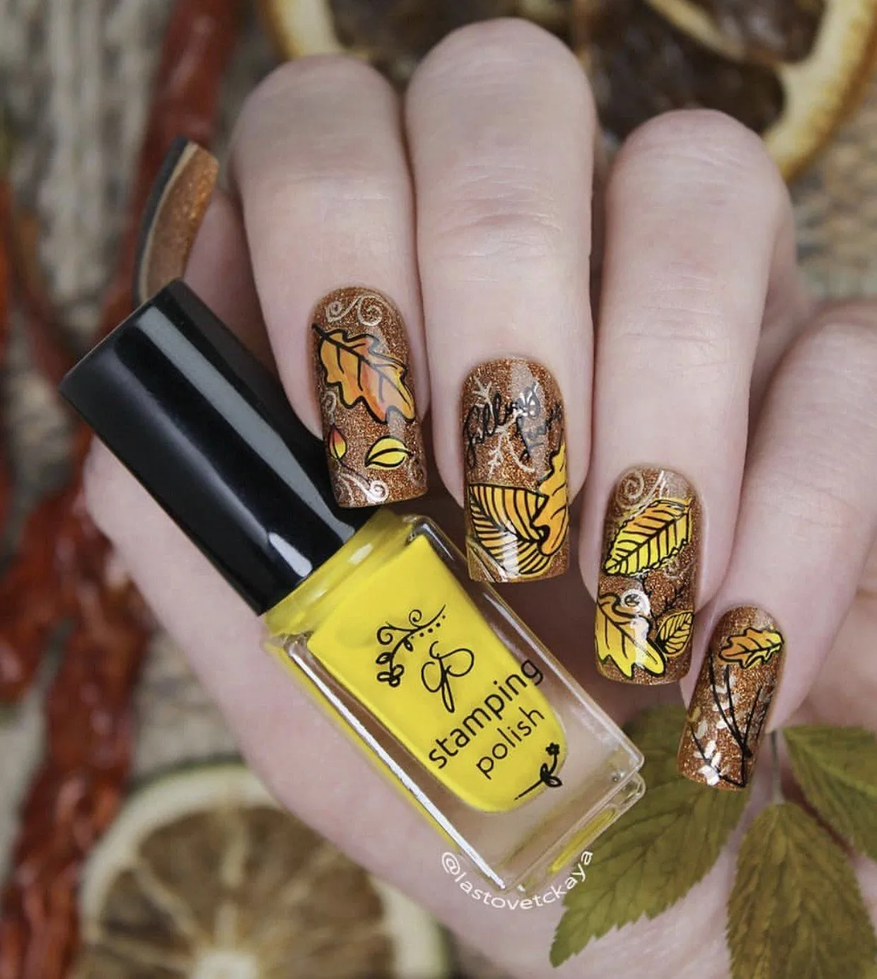 Clear Jelly Stamper Forever Autumn CjS-86 stampingplade