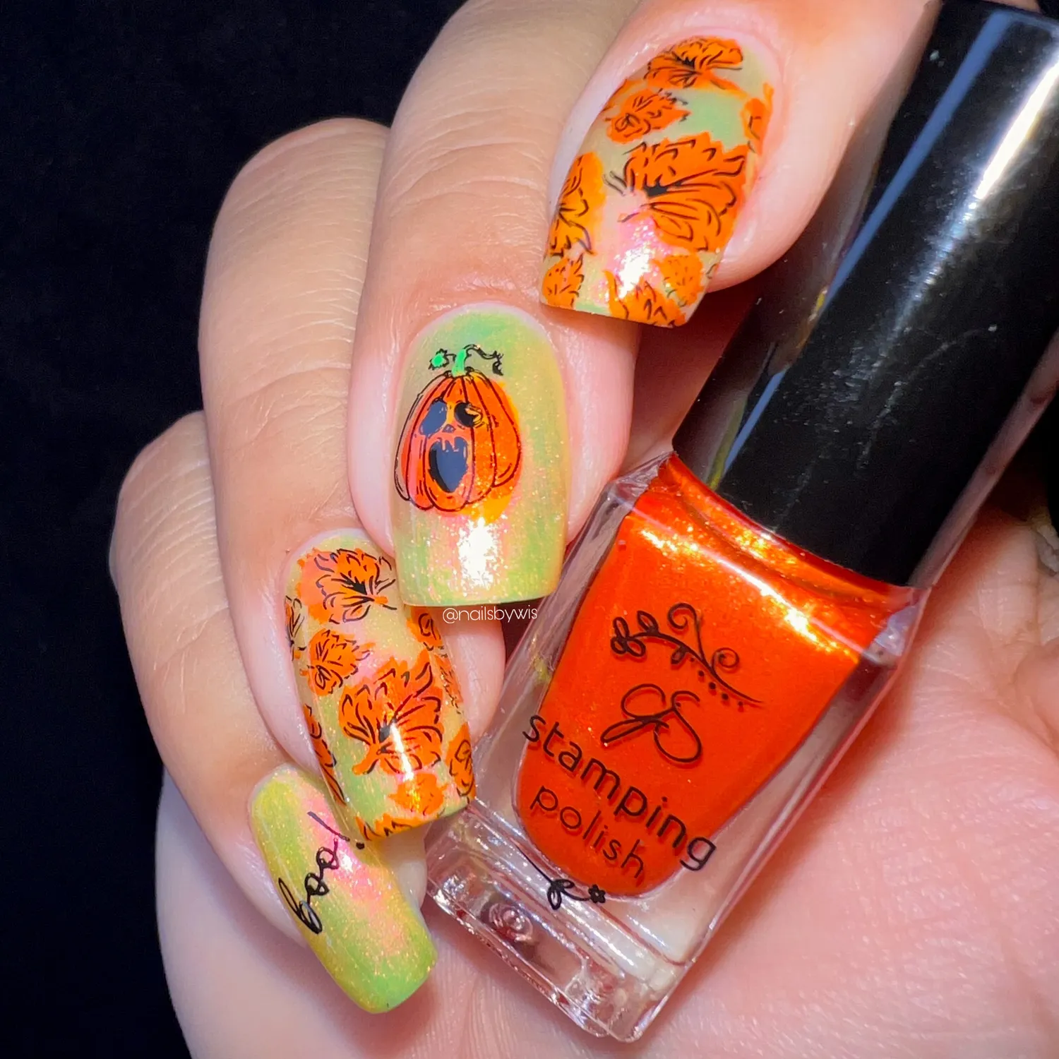 Clear Jelly Stamper CjSH-99 Watercolor Pumpkins stampingplade