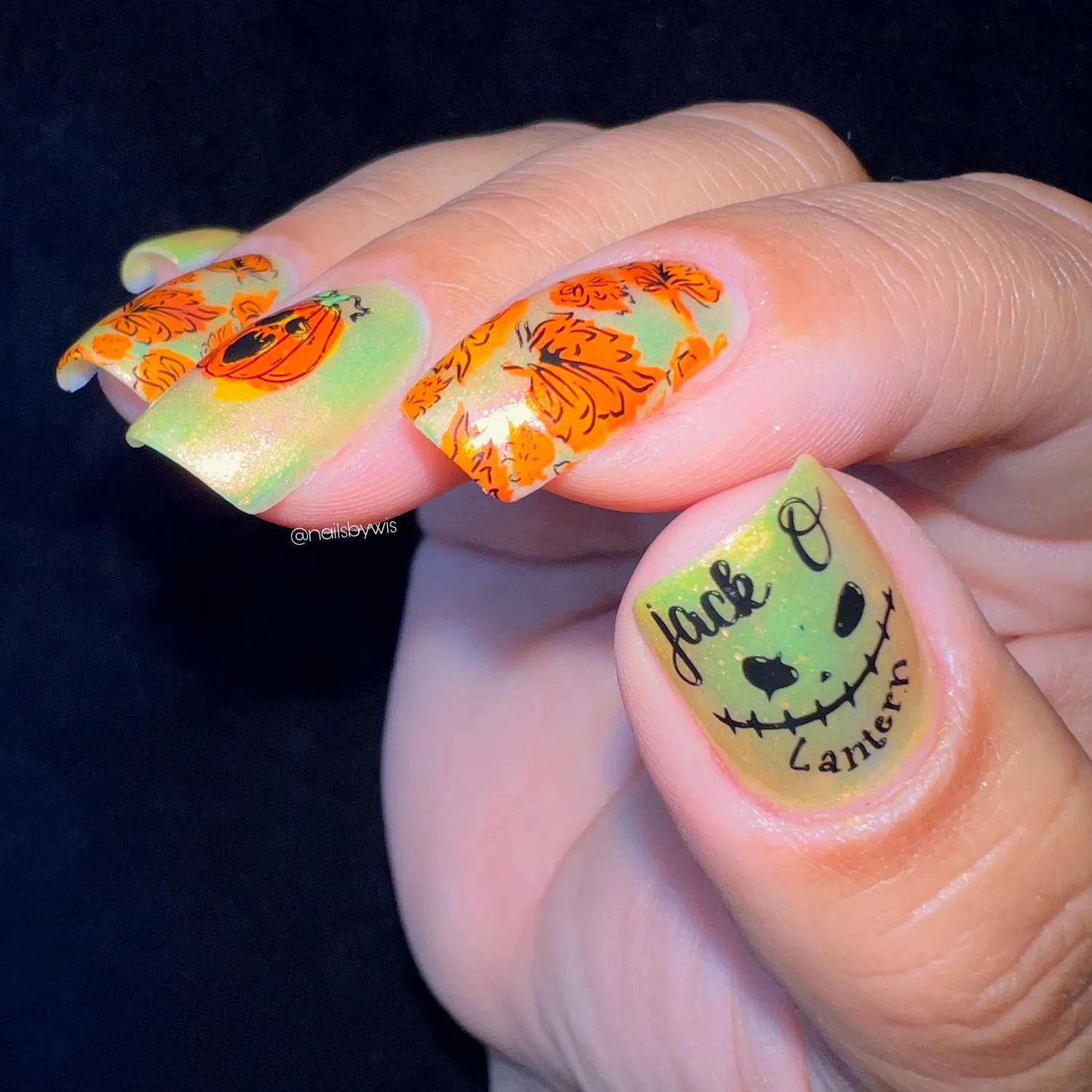 Clear Jelly Stamper CjSH-99 Watercolor Pumpkins stampingplade